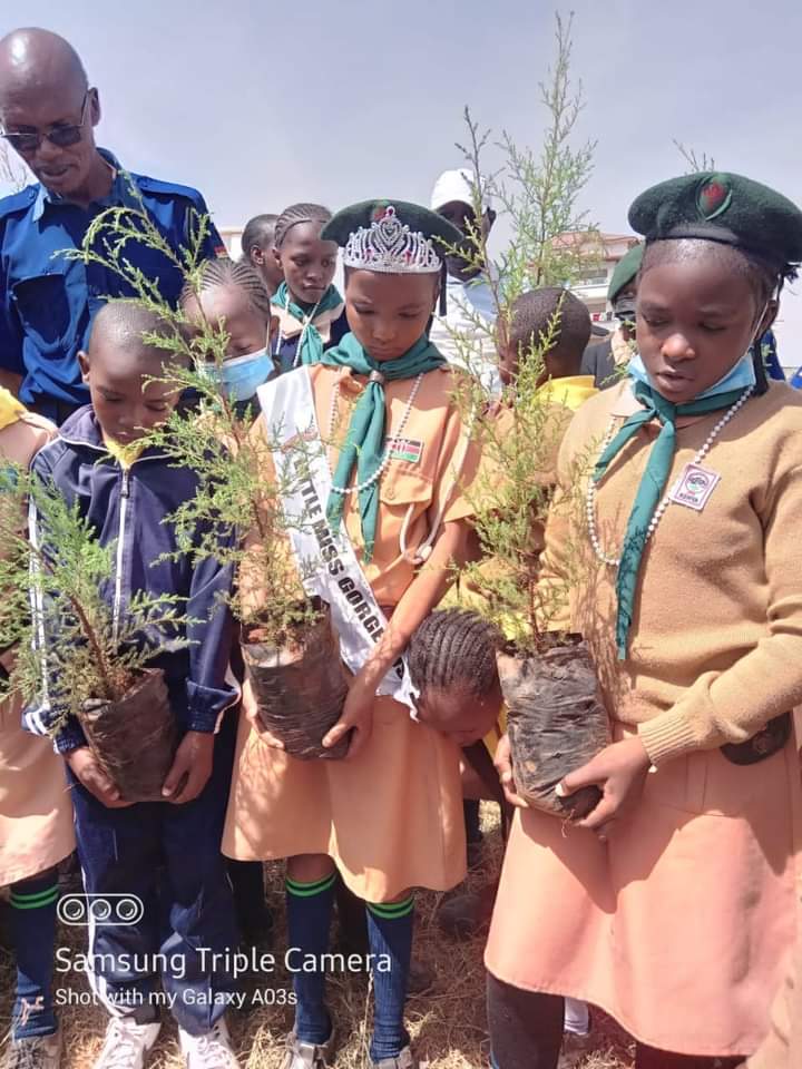 Tree planting